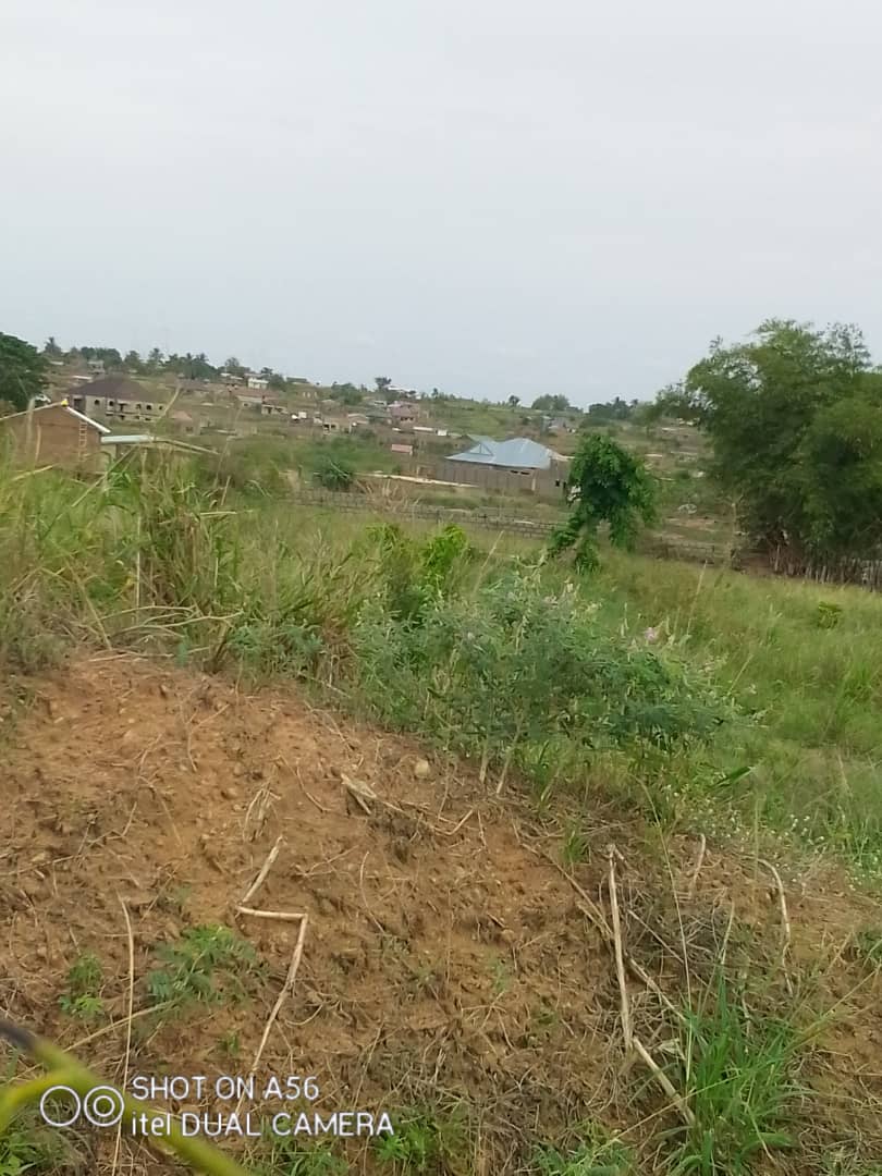 Plot of Land For Sale at Ashalaja