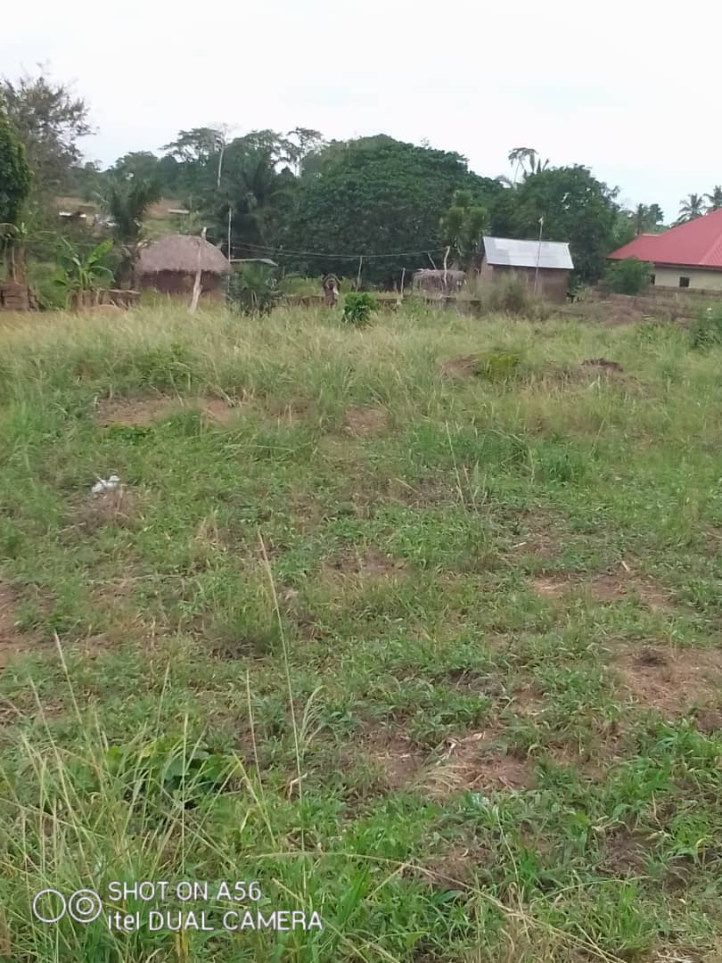 Plot of Land For Sale at Ashalaja