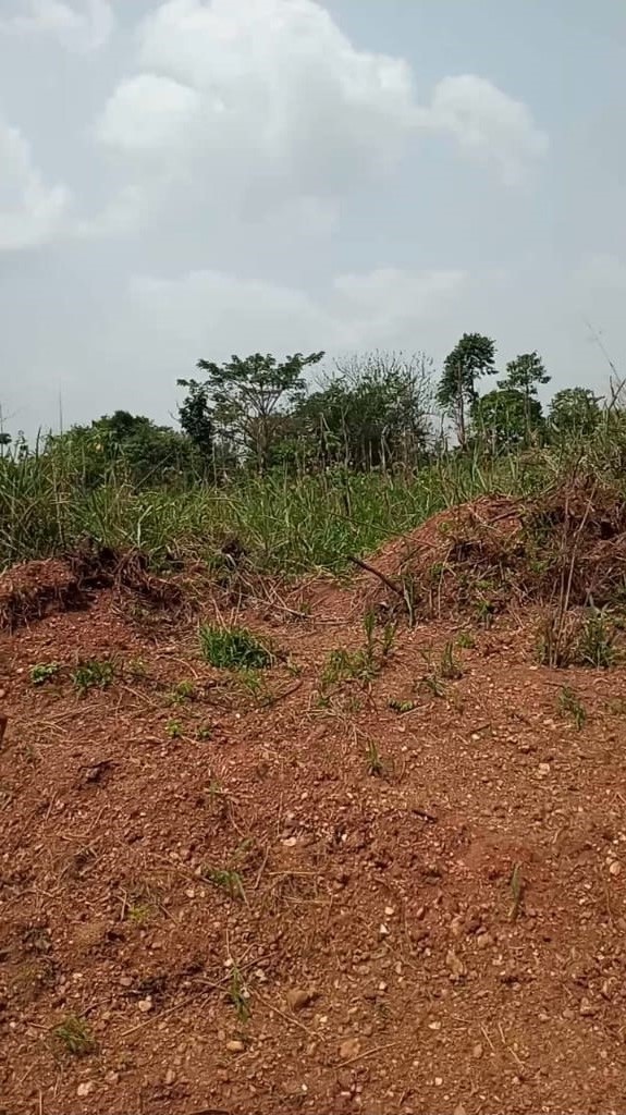 Plot of Land for Sale at Dominase, Ashanti, Ghana