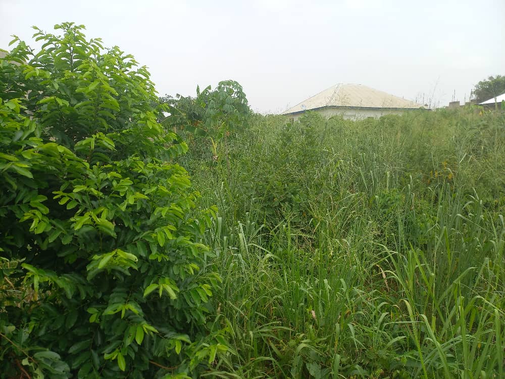 Plot of Land for Sale at Ejisu