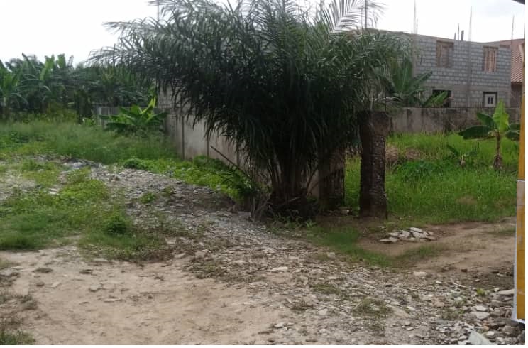Plot With Four (4) Bedroom House for Sale at Haatso Bohye