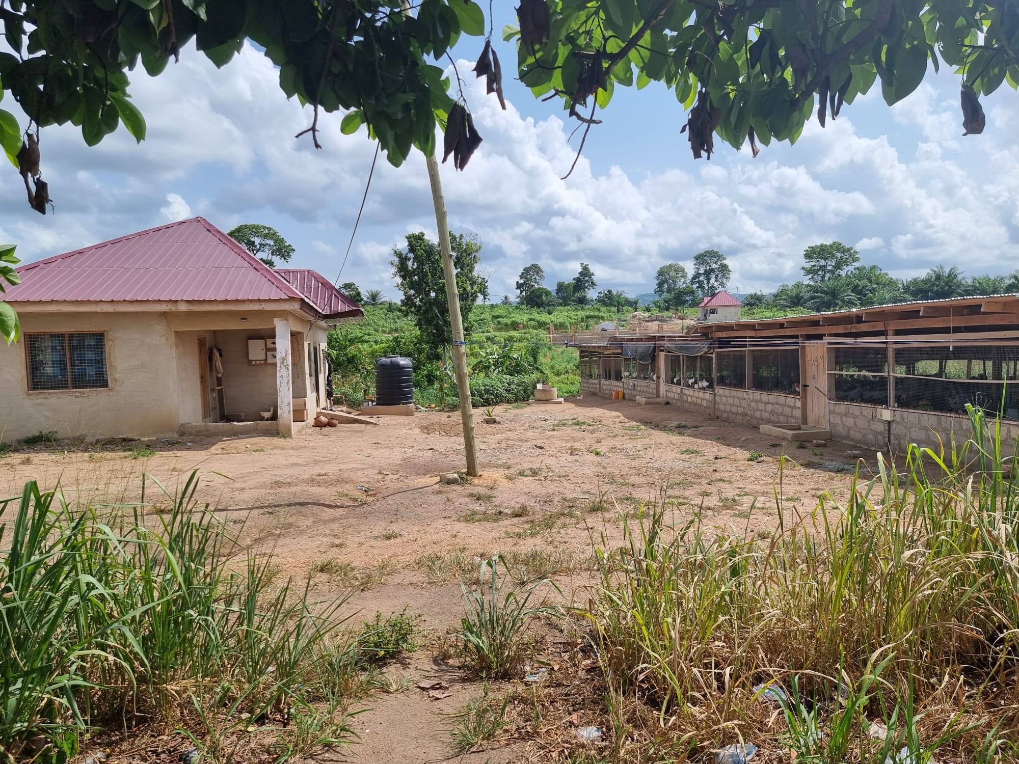 Three 3-Bedroom Farmhouse (Poultry Farm) for Sale at Adeiso 