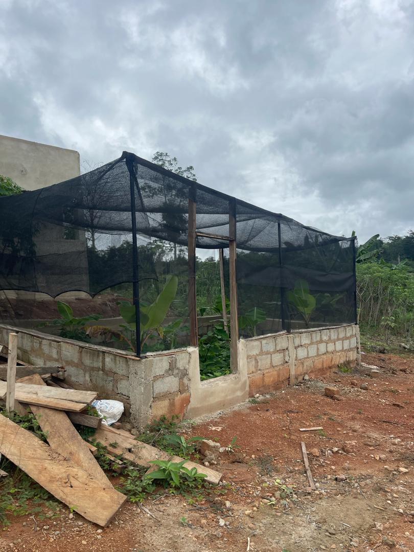 Poultry Farm For Sale at Asamankese Asuokaw