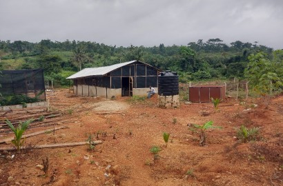 Poultry Farm For Sale at Asamankese Asuokaw