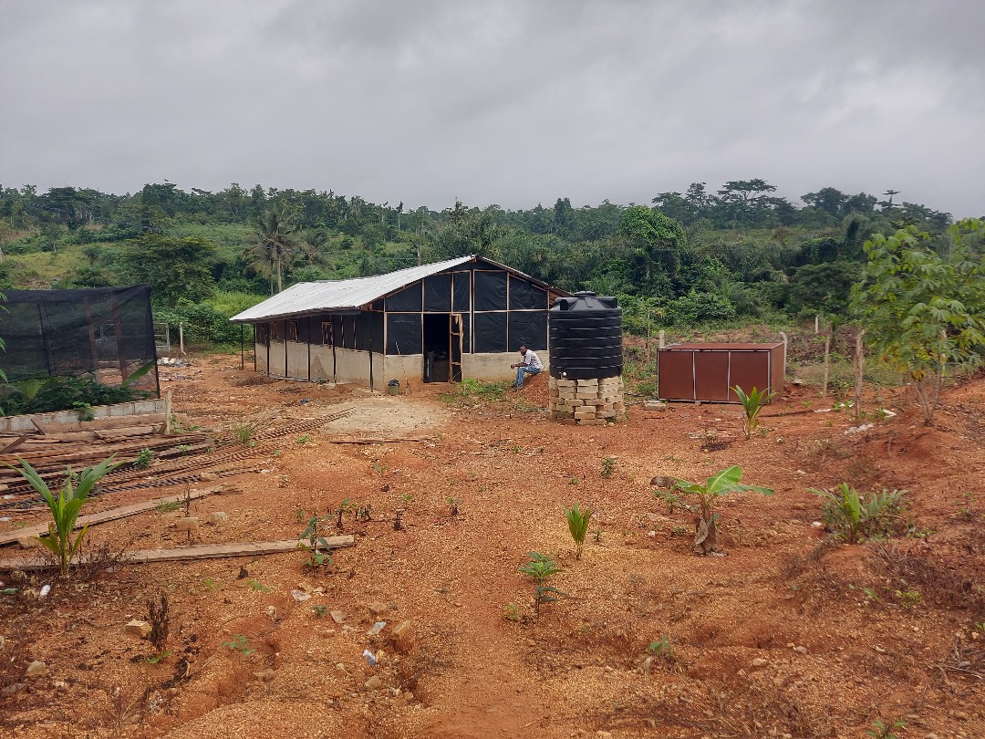 Poultry Farm For Sale at Asamankese Asuokaw