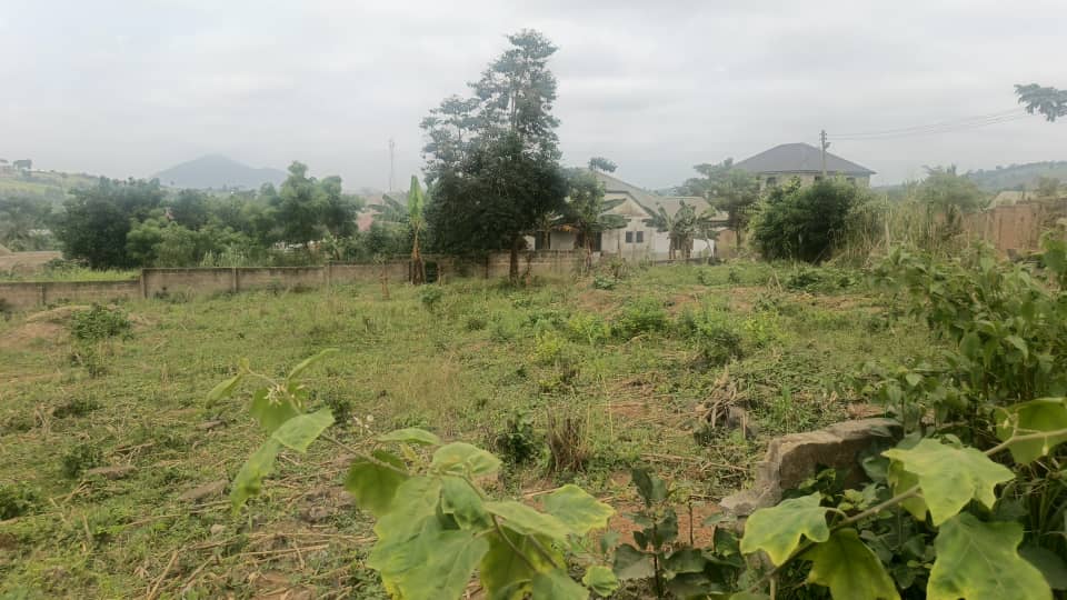 Residential Plots of Land For Sale at Nsawam 