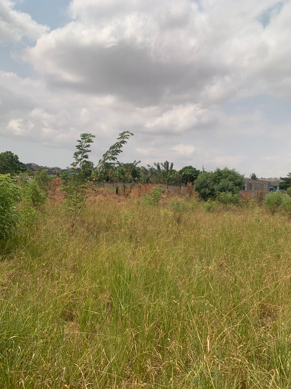 Roadside Land for Sale in Ofankor