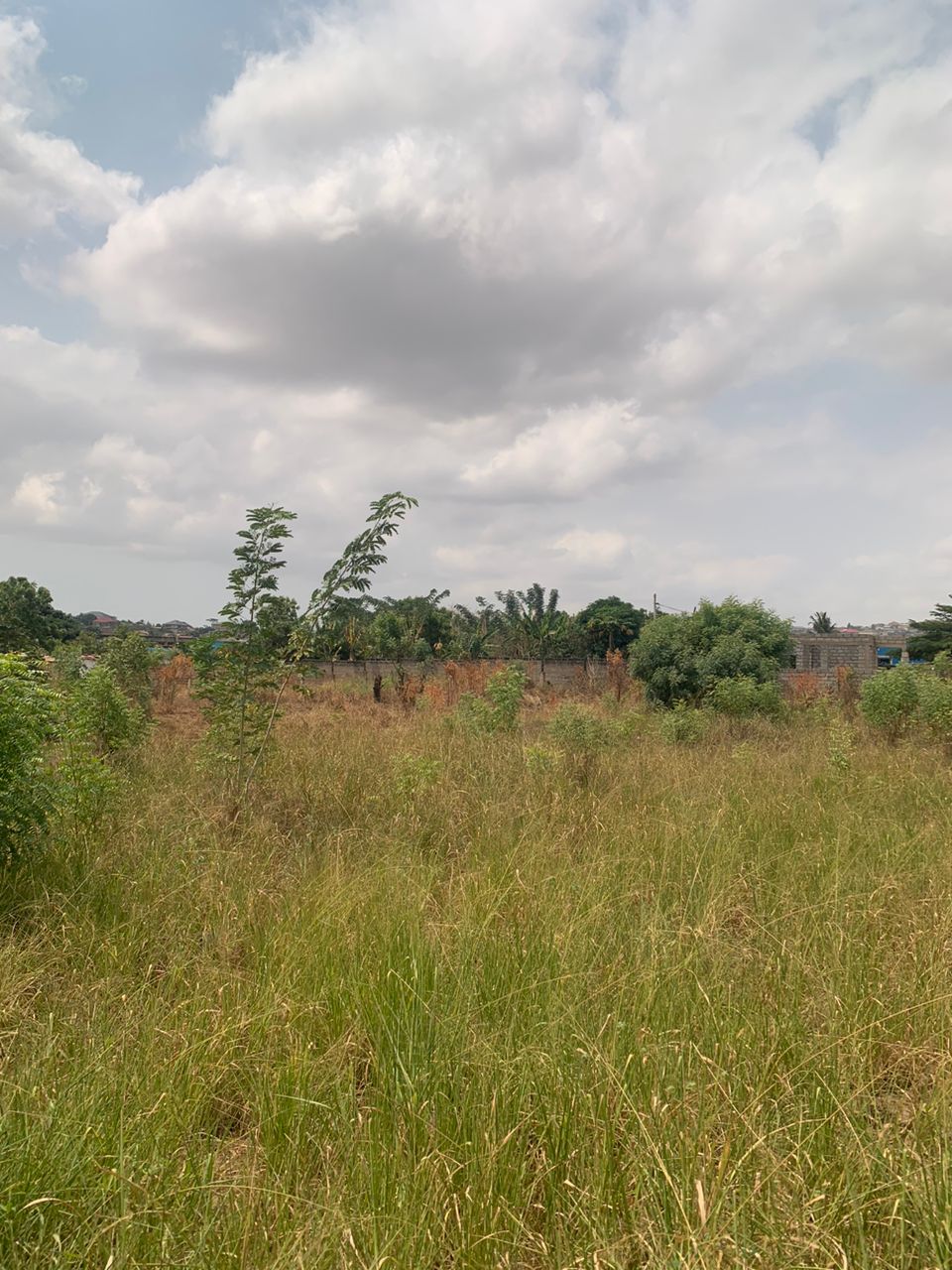 Roadside Land for Sale in Ofankor