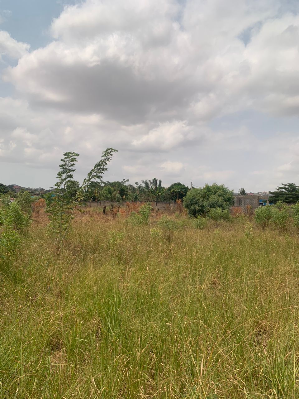 Roadside Land for Sale in Ofankor