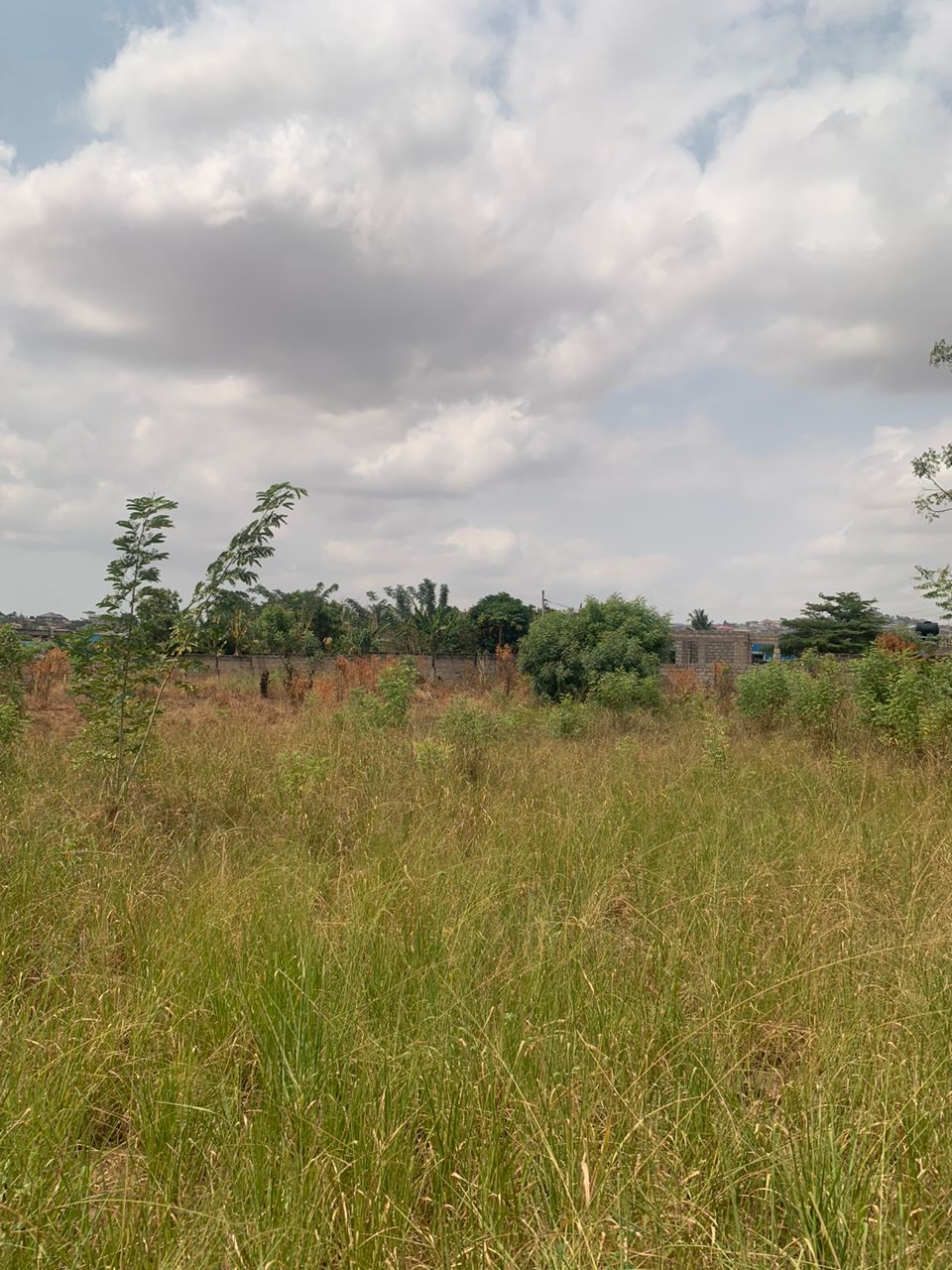 Roadside Land for Sale in Ofankor