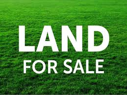 1 & Half Plots of Land for sale