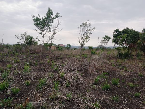 Three (3) Plots of Land For Sale at Shai Hills