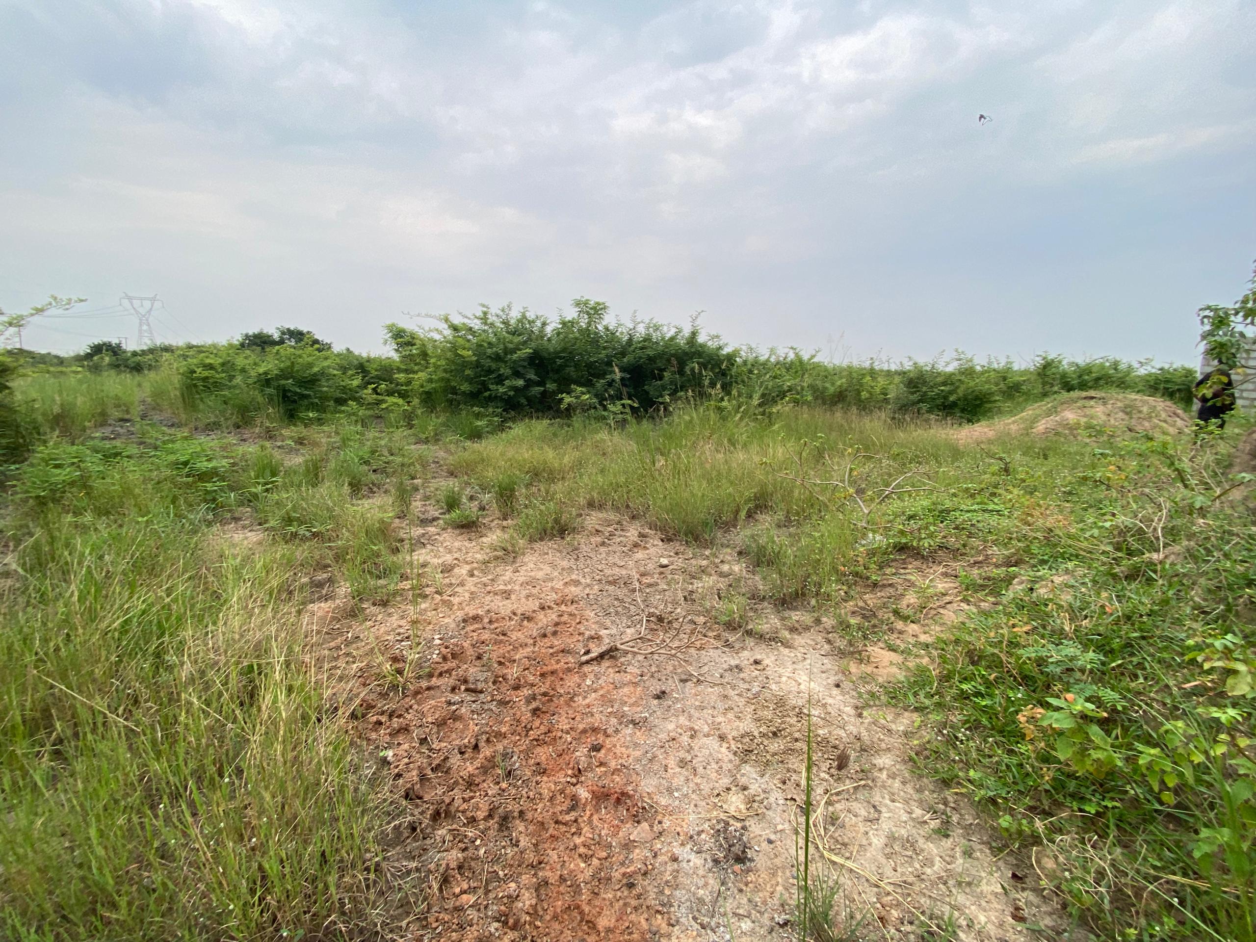 Titled 3 Plots of Land For Sale at Prapram