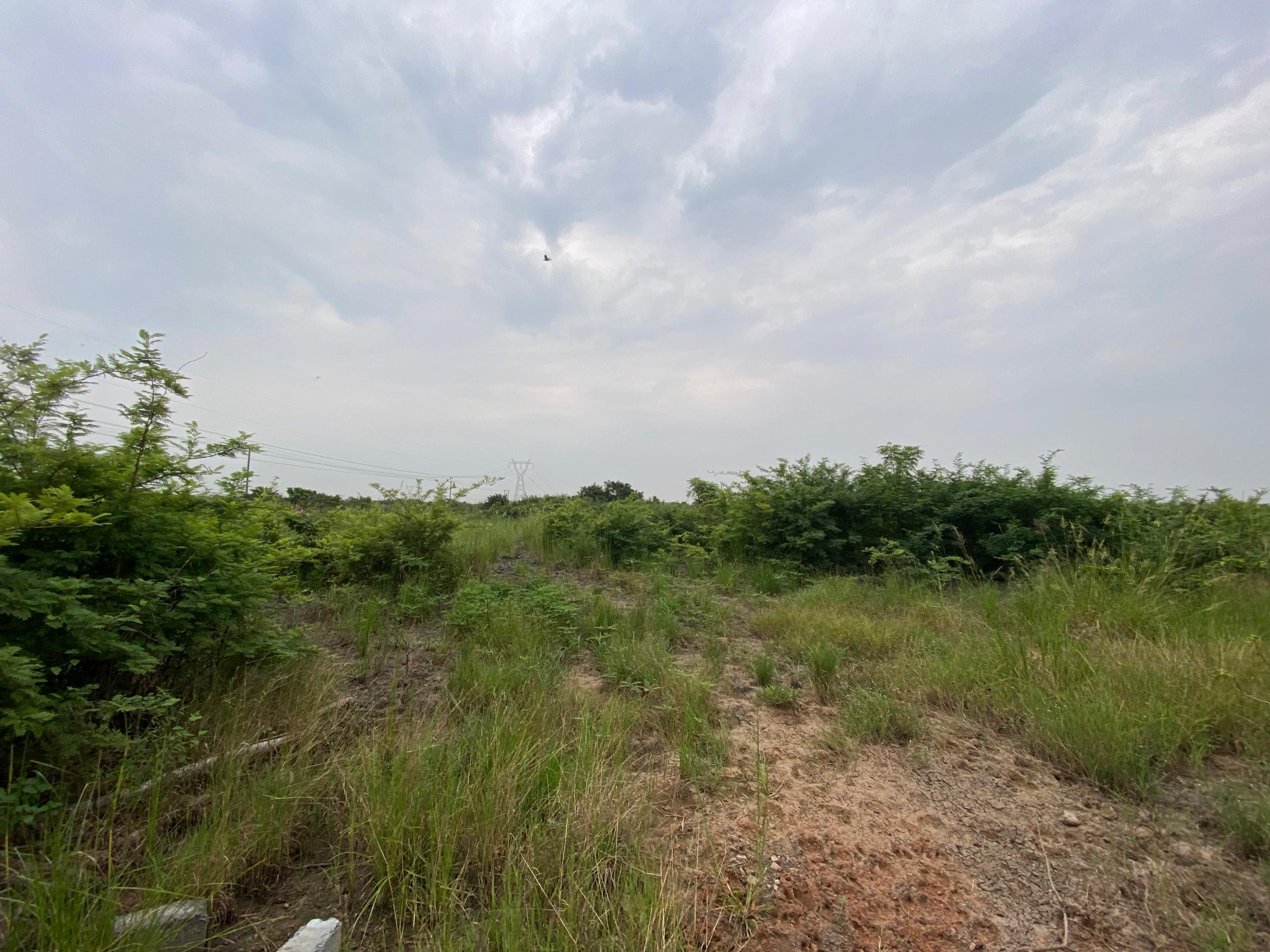 Titled 3 Plots of Land For Sale at Prapram