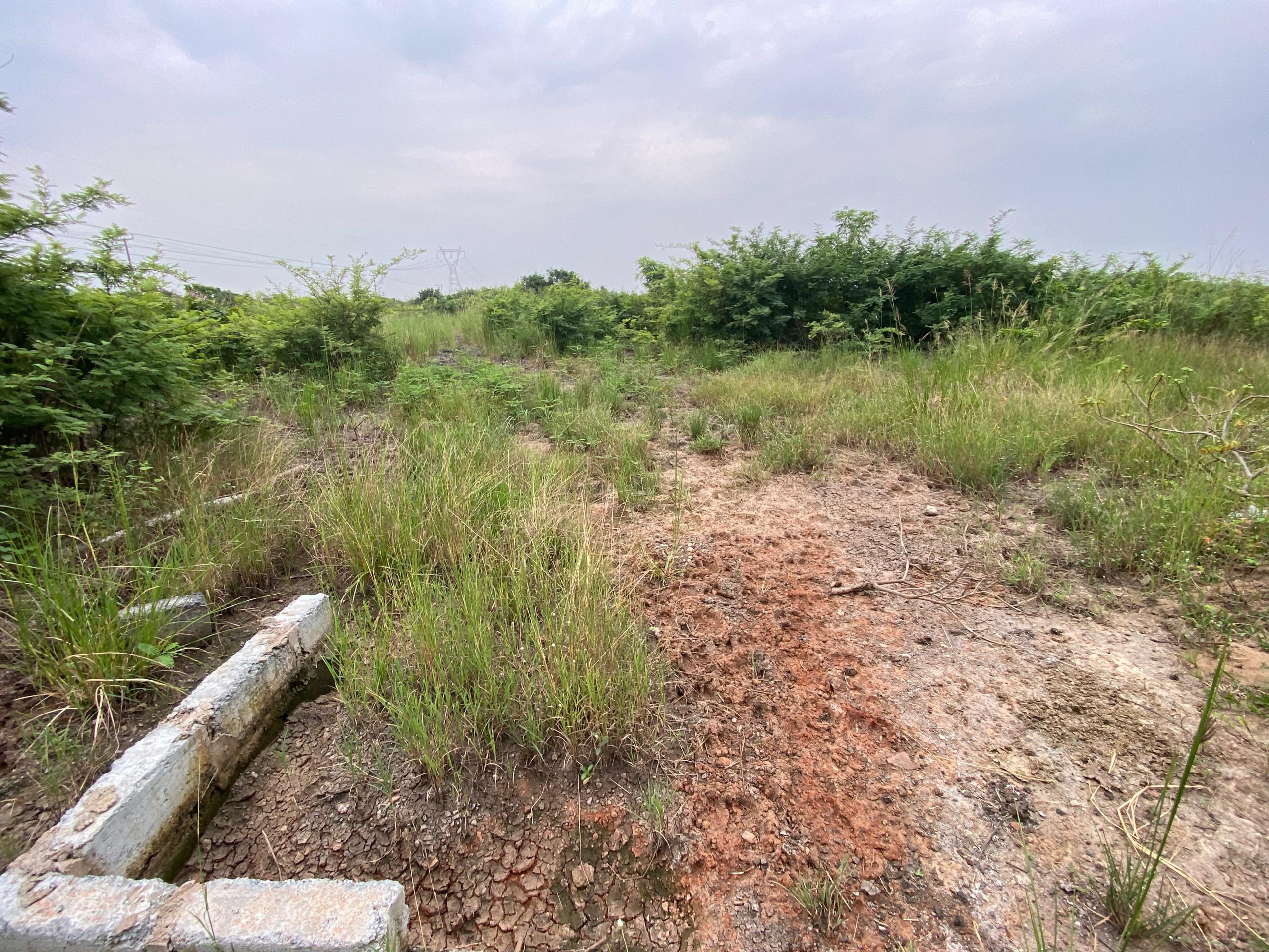 Titled 3 Plots of Land For Sale at Prapram
