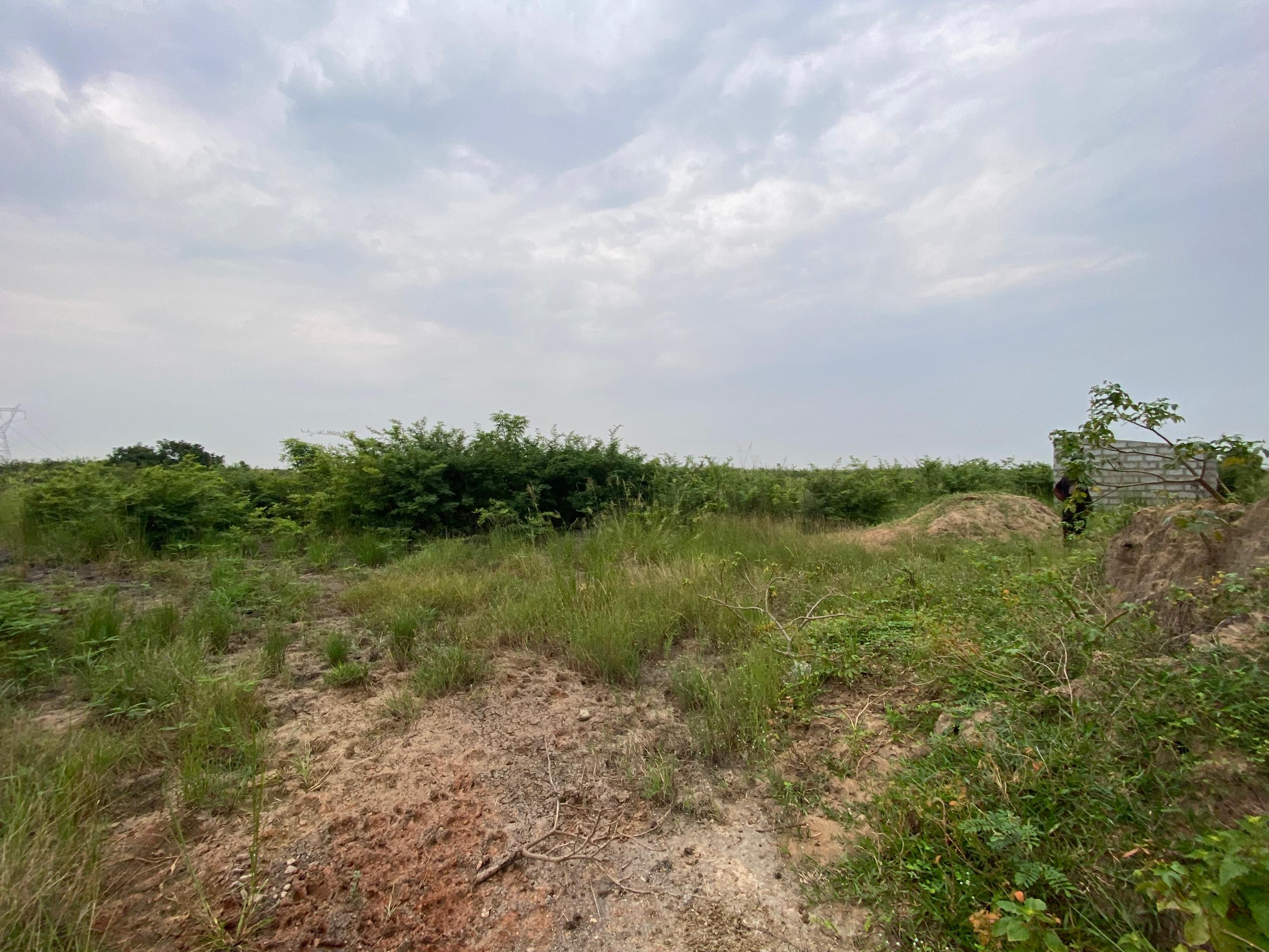 Titled 3 Plots of Land For Sale at Prapram