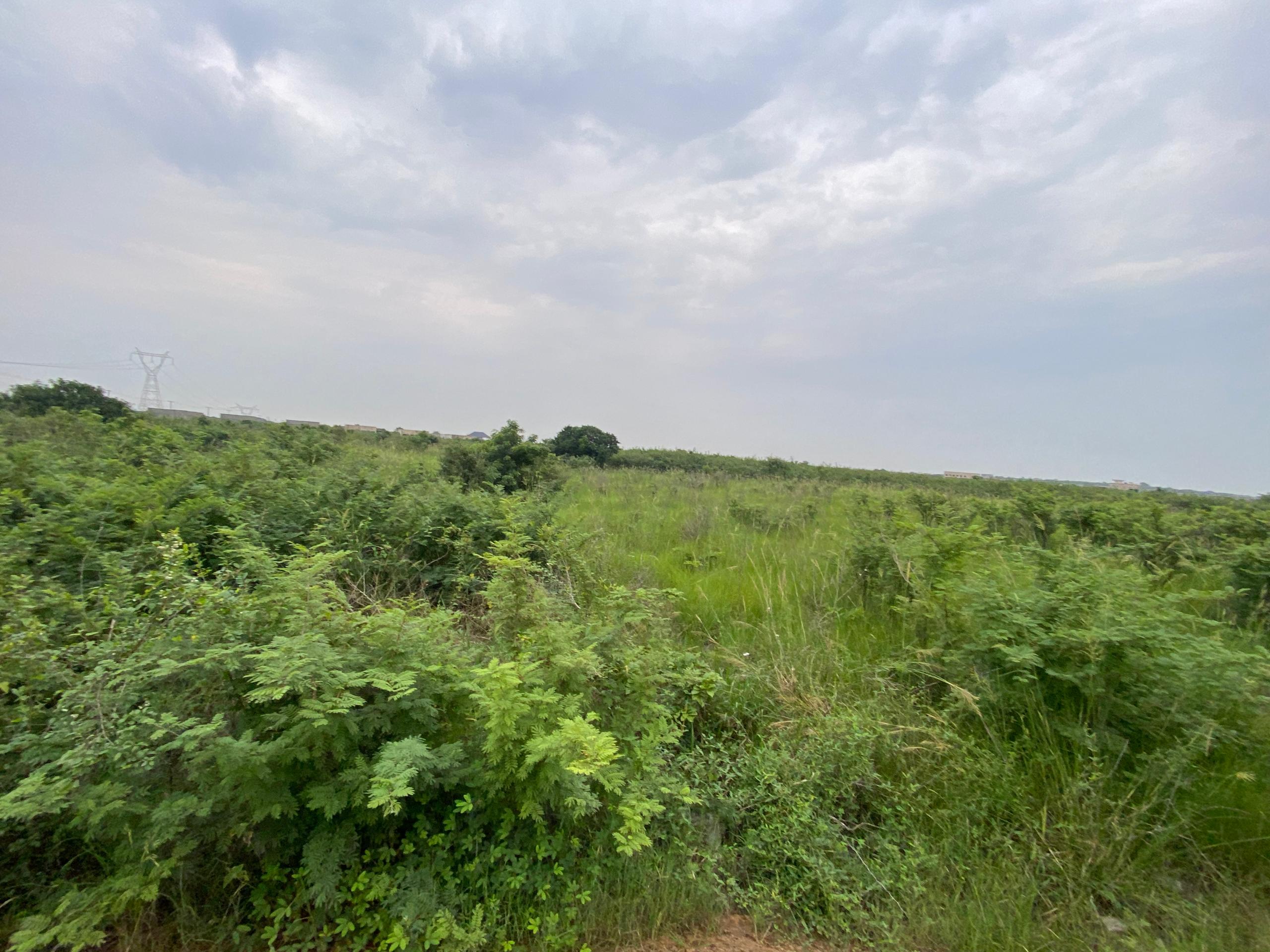 Titled 3 Plots of Land For Sale at Prapram
