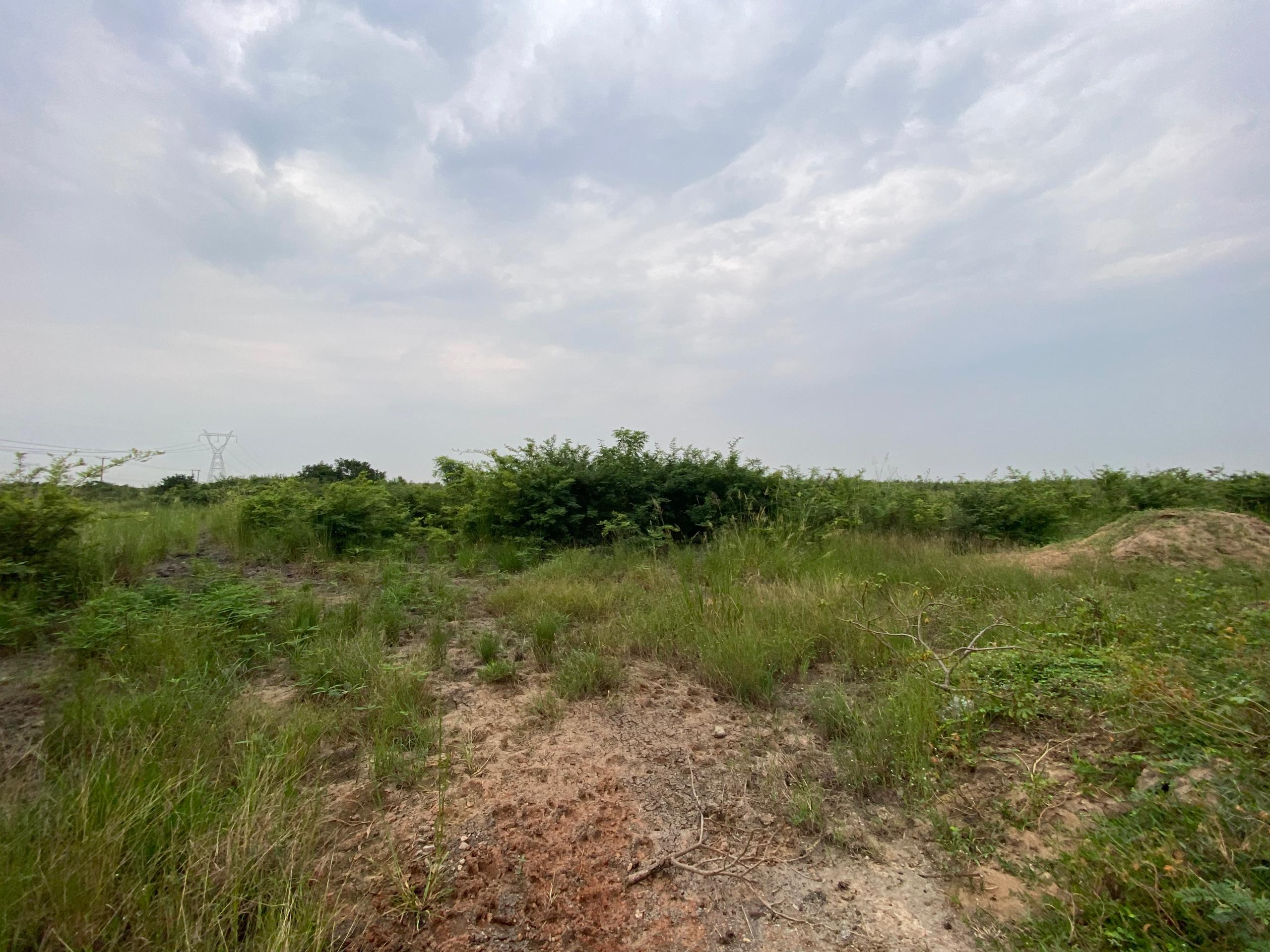 Titled 3 Plots of Land For Sale at Prapram