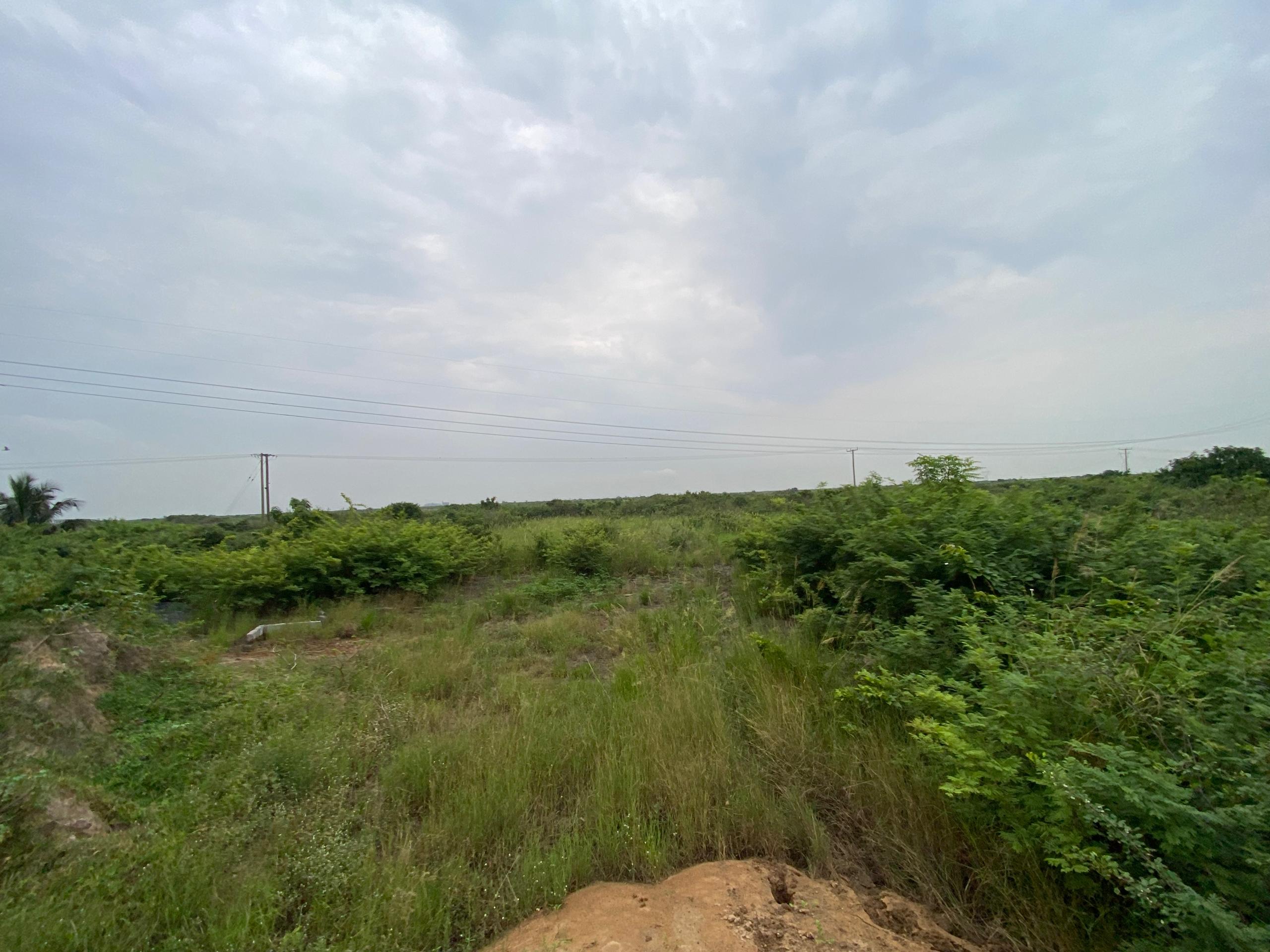Titled 3 Plots of Land For Sale at Prapram