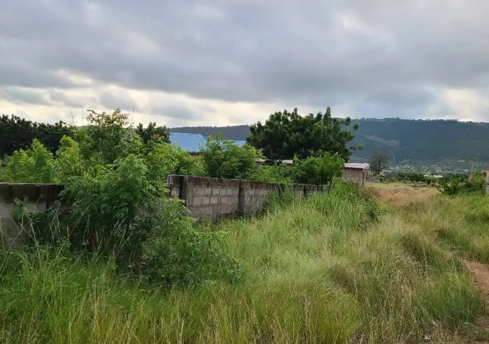 Two 2-Plots of Fenced Land for Sale at Dodowa-(Odumase)