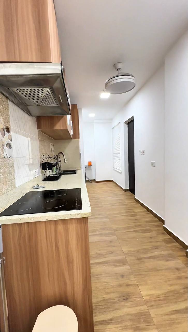 Two (2) Bedroom Fully Furnished Apartment For Rent at Adjiringanor