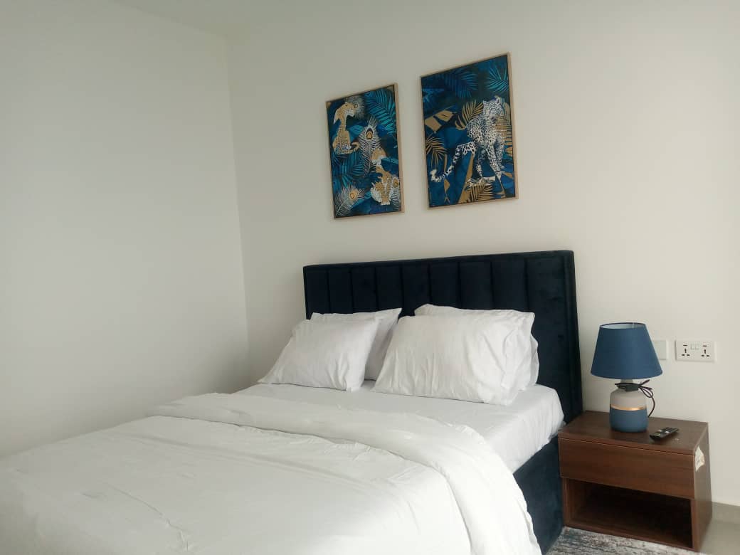 Two (2) Bedroom Fully Furnished Apartments For Rent at Roman Ridge