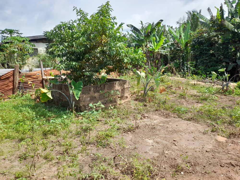 Two (2) Plots of Land For Sale at Kwahu Asakraka