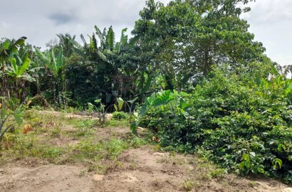 Two (2) Plots of Land For Sale at Kwahu Asakraka