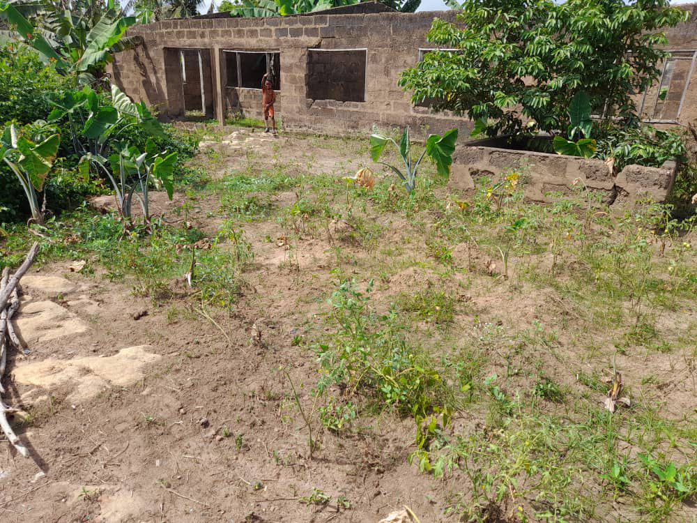 Two (2) Plots of Land For Sale at Kwahu Asakraka